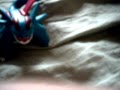 Pokemon Guild Adventures Ep 2