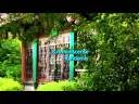 Reminiscence - December 4, 2008