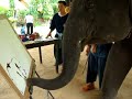[Video]