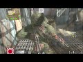 Call of Duty World at War Bayonet Montage Call of Duty World at War Bayonet Montage