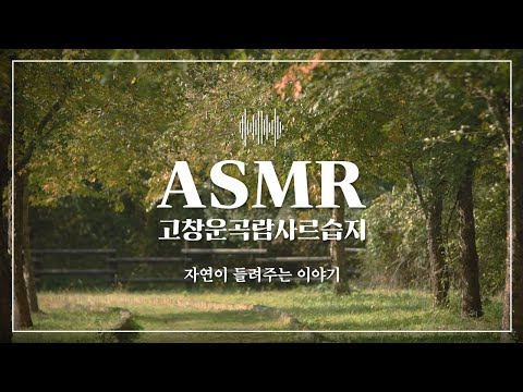고창운곡람사르습지가 들려주는 자연의 소리 ASMR