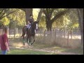 videos de jump 4