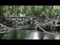 Zeitgeist: Addendum - Narration Fr