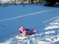 Aurora On A Sled 
