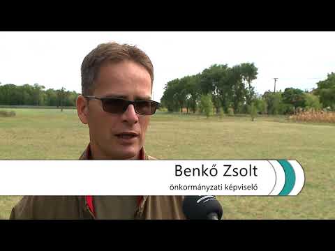 Újabb erdősítésbe kezd az önkormányzat
