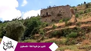 حلوة يا دنيا - تقرير عن قرية لفتا - فلسطين حلوة يا دنيا - تقرير عن قرية لفتا - فلسطين