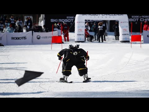 Winter-Olympia mal anders: Ski-Roboter fahren Slalo ...