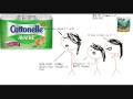 Stick Firgure Ep. 2 .wmv