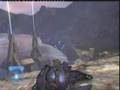 JMF Productions: On top of Delta halo