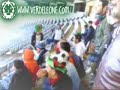 ultra verde leone (mouloudia d'alger)
http://www.verdeleone.com