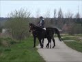 Handpaardje Handpaardje