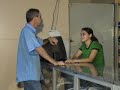 Eletr�nica Tanabi