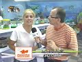 LOJA DE AQUARIO, PEIXES ORNAMENTAIS, ACESSORIO PARA AQUARIO. 