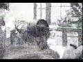 david paul bench press!!!reverse grip