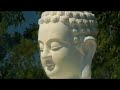 photographs of the vesak ceremony at the linh son buddhist temple in dickinson, tx.  this year, the ceremony was most special with the participation of buddhist monks from tibet.

l? ph?t ??n t?i ch�a linh s?n n?m nay th?t s? ??c bi?t v?i s? tham d? c?a c�c v? s? tibet.