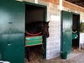 2009 fall day at Keeneland Race Course