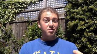 Following Our Highest Excitement