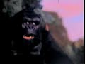 King Kong battles t rex King Kong battles t rex