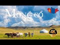 Tour Mông Cổ 8N7Đ: Bản Tình Ca Trên Thảo Nguyên