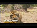 Untamed & Uncut - Unscripted