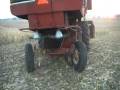 videos de corn 08_0002 saved to comp.wmv