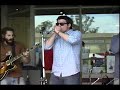 The Mojo Corner - King Of My Domain