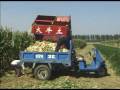 DAFENG 4YW-3 Corn Combine Harvester A