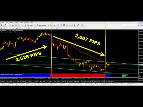 The Best Forex Indicators For Long term Trading!