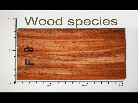 how to determine wood type