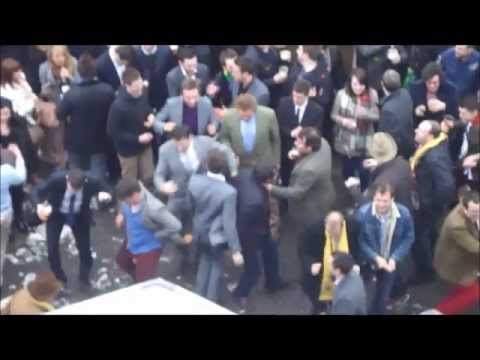 cheltenham gold cup