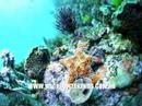 Holiday Accommodation South Coast New South Wales NSW