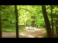 HD Video - Roman Kresta testing Skoda Fabia S2000