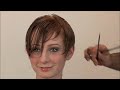 Pixie Hair Cut (Part 1) Pixie Hair Cut (Part 1)