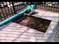 PANJAGUTTA - Hyderabad Central - YouTube