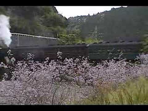 ピンクの花とC10(長い汽笛つき）