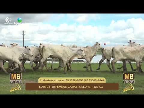 543� LEIL�O VIRTUAL MB LEIL�ES