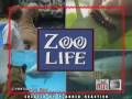 Jack Hanna's Zoo Life by Planned Reaction