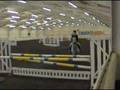 toffee showjumping winter legue