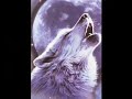 Ulver - Strange Ways (Kiss Cover) Ulver - Strange Ways (Kiss Cover)