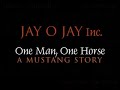 A Mustang Story - \"First Saddle\" (Episode 5) A Mustang Story - \"First Saddle\" (Episode 5)