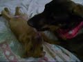 Me entrego.....soy refacil!! jeje