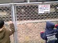 2008.1.1?????