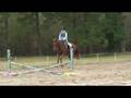 Cantering