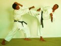 videos de Homenaje al Sensei Alcibíades Peña Escalante (Suro), un barahonero excepcional