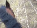 me and millie gallopin on the stubble felid