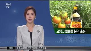 뉴스투데이