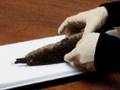Platypus and mammal evolution