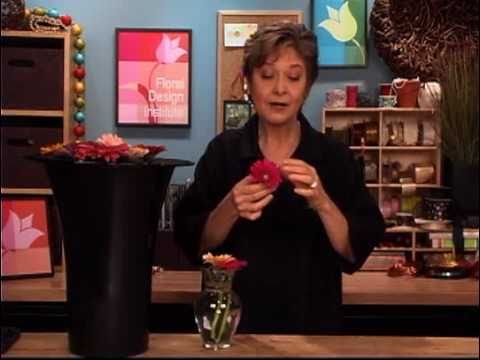 how to care gerbera