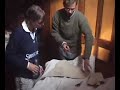Tall Ship Soren Larsen Sail Repairs