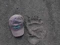 Voices of the Sacred Headwaters